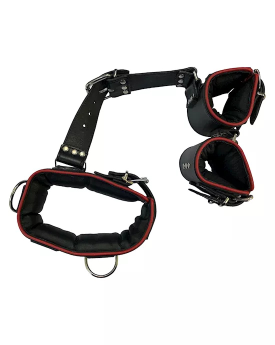 Bound X Padded Leather Cuff And Collar Set