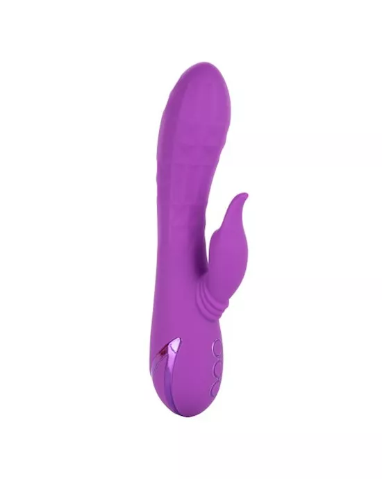 California Dreaming Valley Vampire