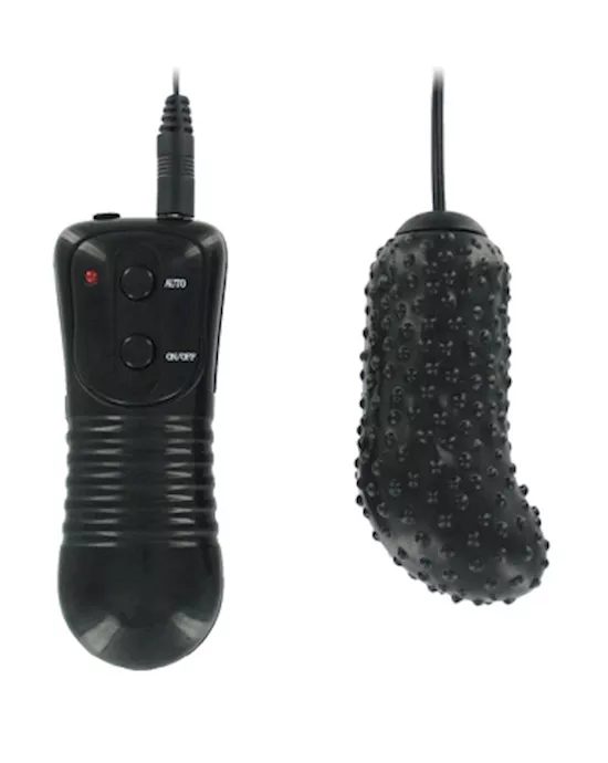 10 Function Vibrating Nubbed Bullet