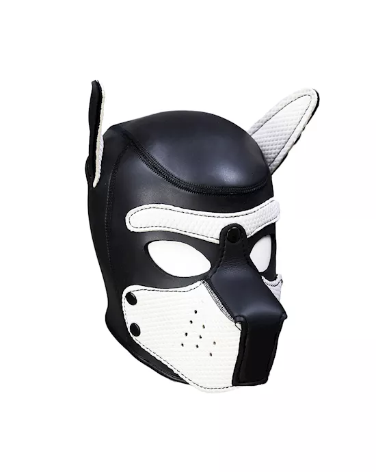 Mans Best Friend Puppy Hood