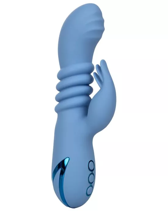 California Dreaming Santa Cruz Coaster