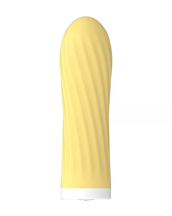 Point Pleasure Bullet Vibrator