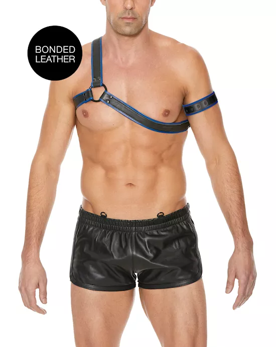 Gladiator Harness