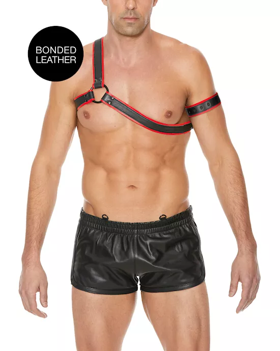 Gladiator Harness