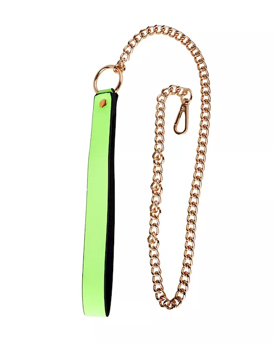 Luminated  Leash With Chain