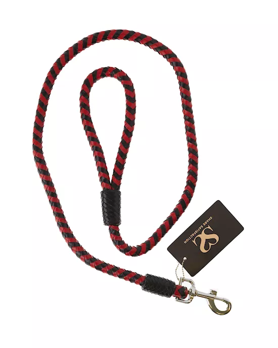 Bound X Braided Leather Leash