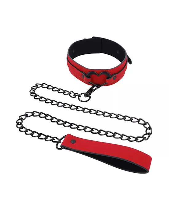 Amor Collar And Leash