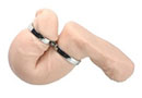 chastity