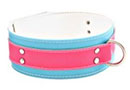 collars + leads