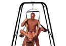 swings + harnesses
