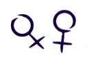 lesbian