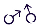 all male