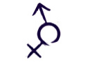 tranny