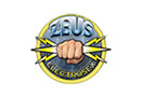 zeus electrosex