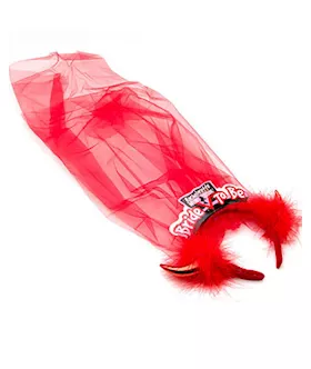 Hens Night Devilish Bride