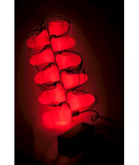 Hens Night Penis Party Lights