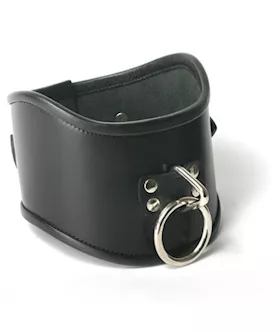 Strict Leather Locking Posture Collar