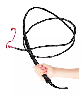 Fetish Fantasy 6ft Whip