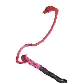 Fetish Fantasy 6ft Whip