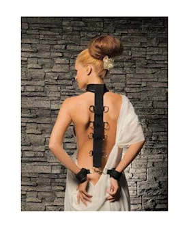 Neck And Wrist Restraint