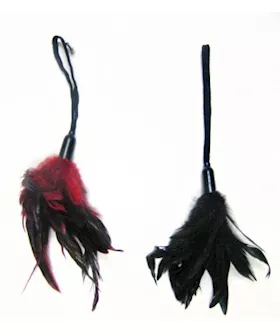 Sportsheets Pleasure Feather