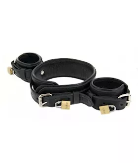 Strict Leather Wrist to Neck Restraint