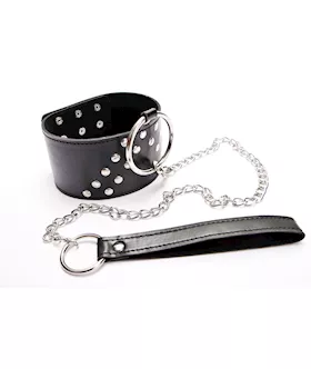 Collar And Lead