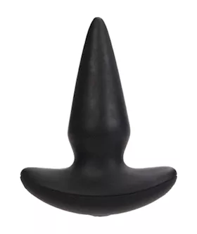 10 Function Risque Butt Plug
