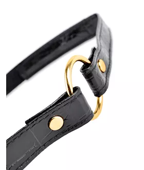 Fetish Fantasy Series Ball Gag