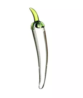 Glass Got Chilli Rod Toy