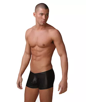 Sexy Mens Boxer Briefs