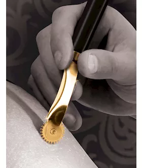 Fetish Fantasy  Wartenberg Wheel