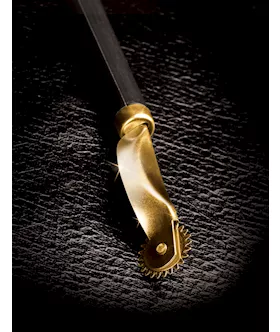 Fetish Fantasy  Wartenberg Wheel