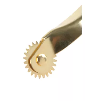 Fetish Fantasy  Wartenberg Wheel