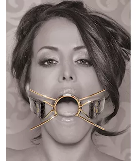 Fetish Fantasy  Deluxe Spider Gag