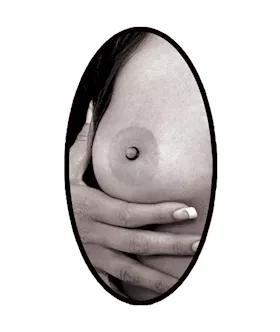 Fetish Fantasy Limited Edition Nipple Erector Set