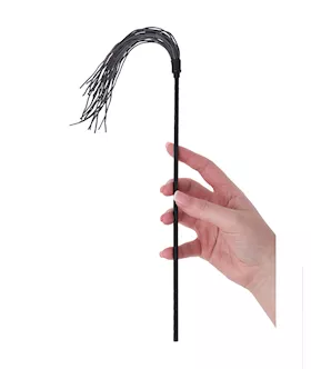 Beginners Fantasy Whip