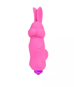 Rabbit Bullet Vibrator