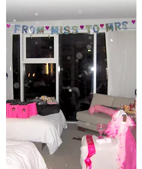 'from Miss To Mrs' Party Banner