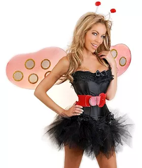 5 Pc Sexy Ladybug Costume