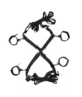 Scandal Over the Bed Cross