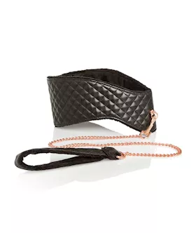Entice Posture Collar With Leash