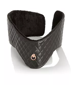 Entice Posture Collar With Leash