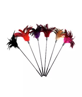 Starburst Tickler Combination 6 Assorted