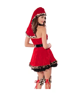 Sexy Red Riding Hood Costume