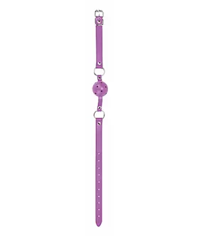Gag Ball Purple