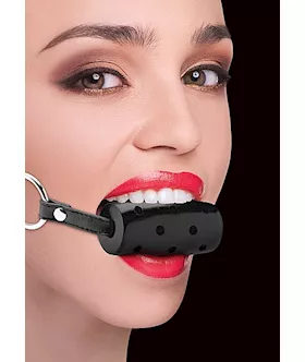 Cylinder Gag