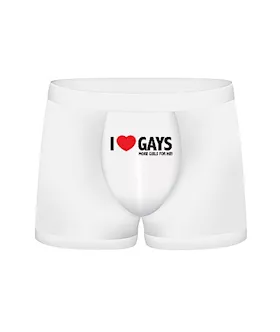 Funny Boxers I Love Gays More Girls For Me
