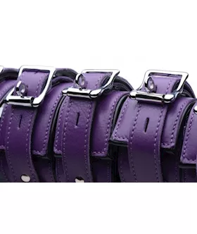 Purple 5 Piece Locking Leather Bondage Set