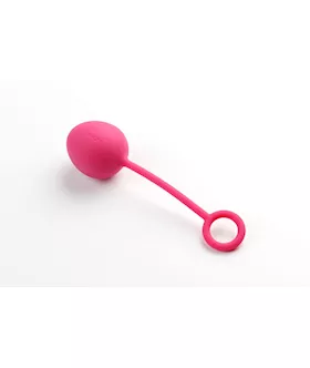 Nova Luxury Kegal Ball Kit